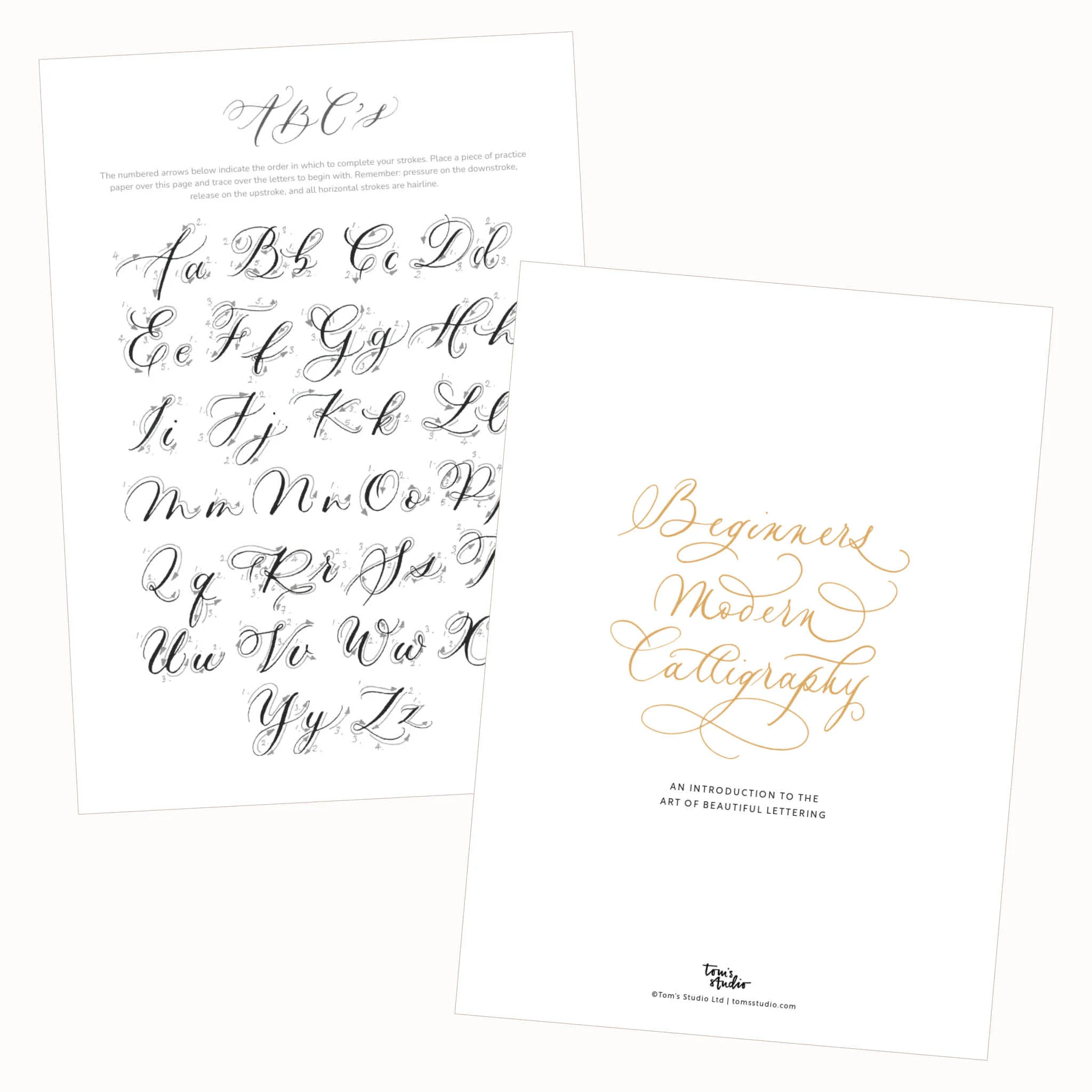 Digital Guide: Beginner's Modern Calligraphy