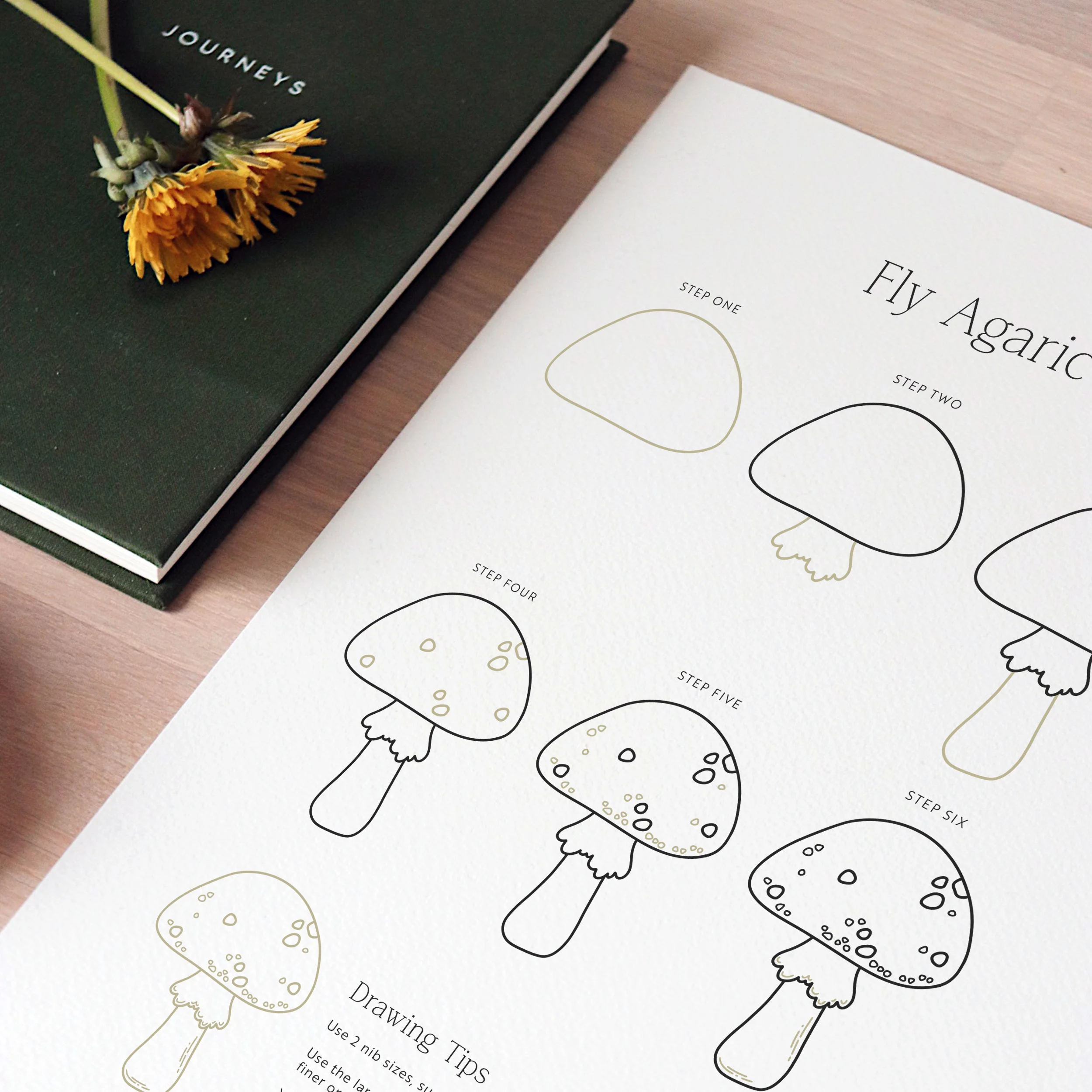 Drawing Guide: British Countryside - Image 3