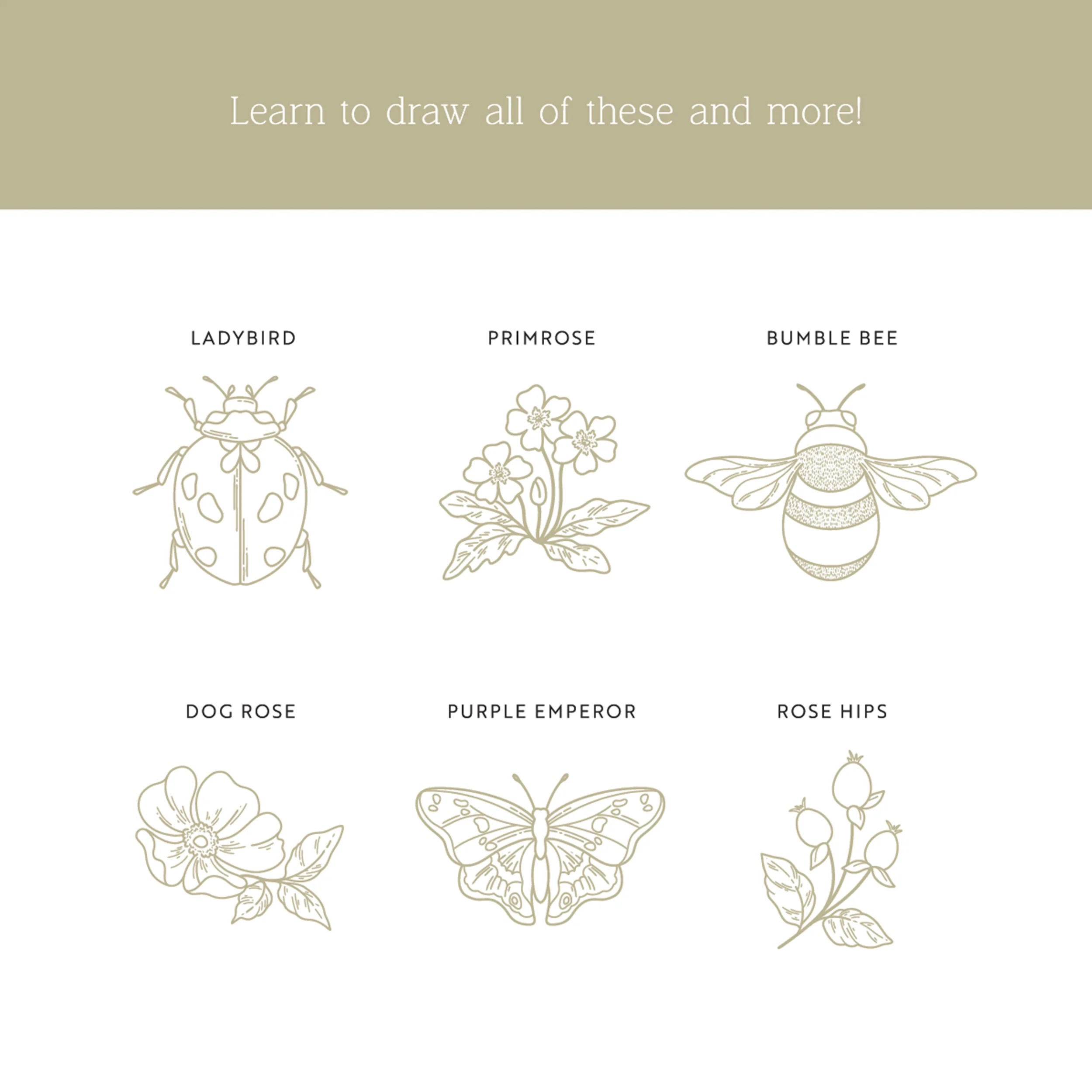 Drawing Guide: British Countryside - Image 4