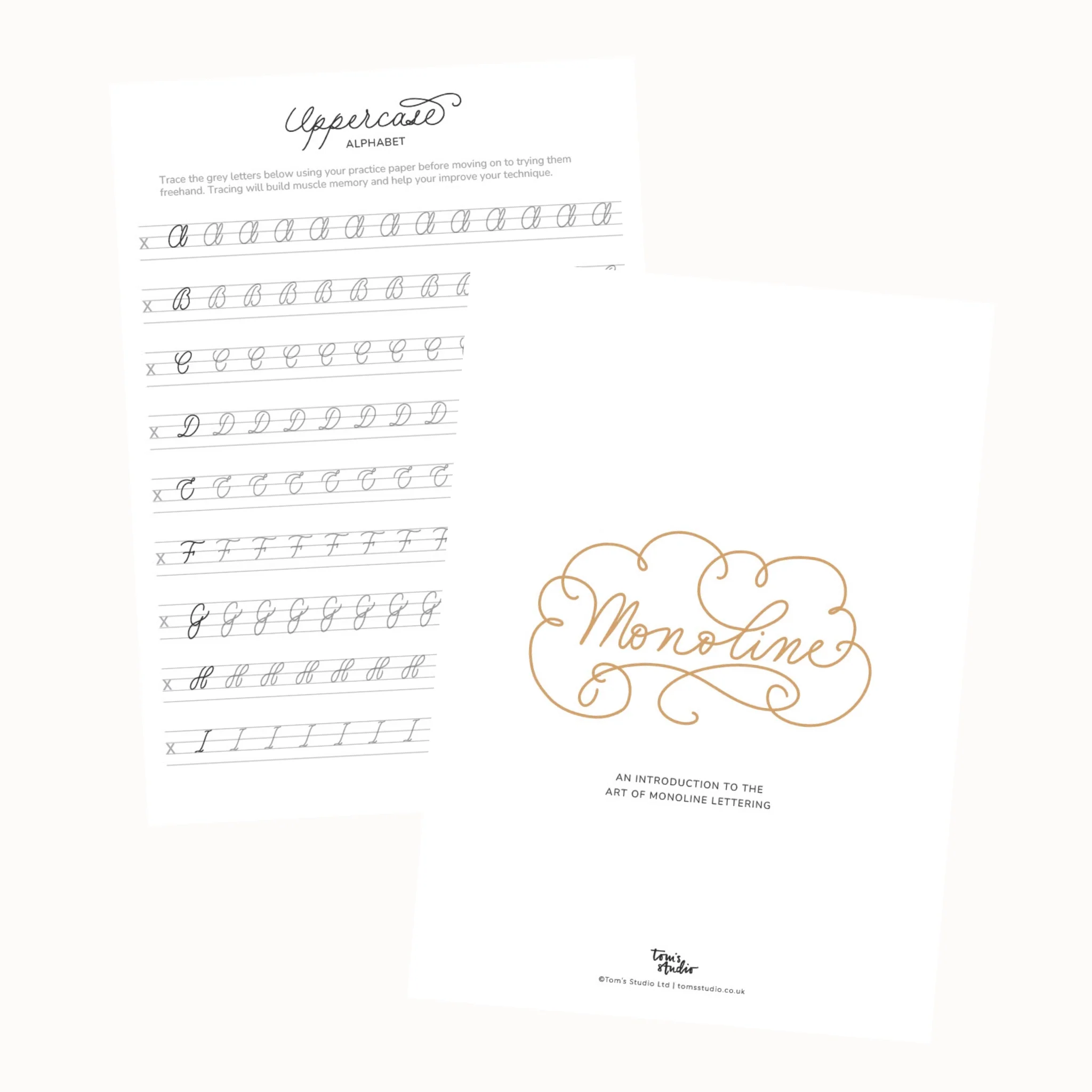 Digital Guide: Beginner's Monoline Lettering - Image 2