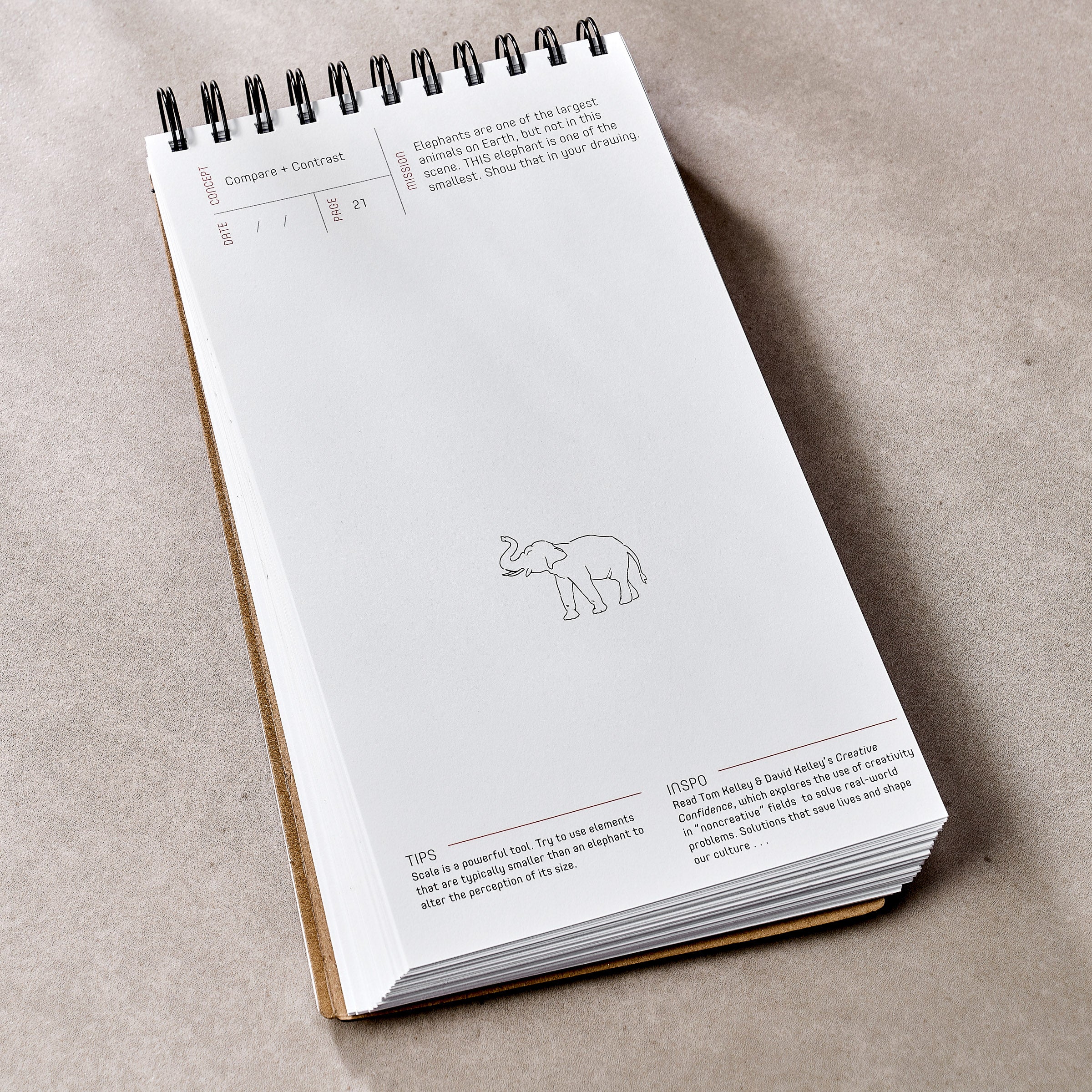 Draw the Line – Kathryn Temple - Image 3