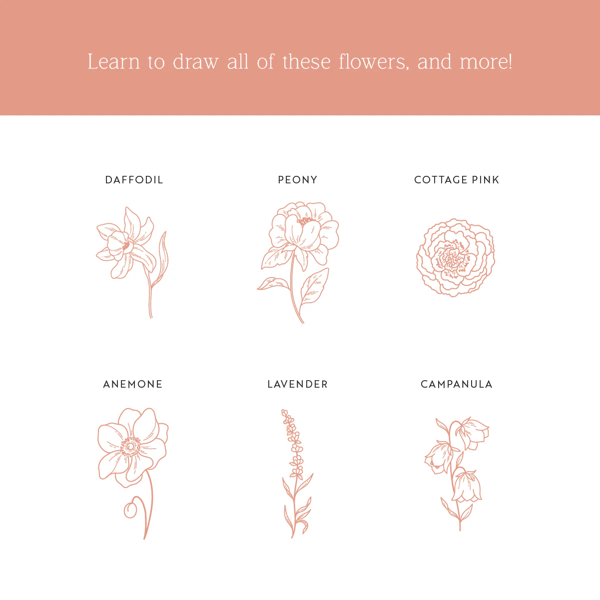 Drawing Guide: English Country Garden - Image 5