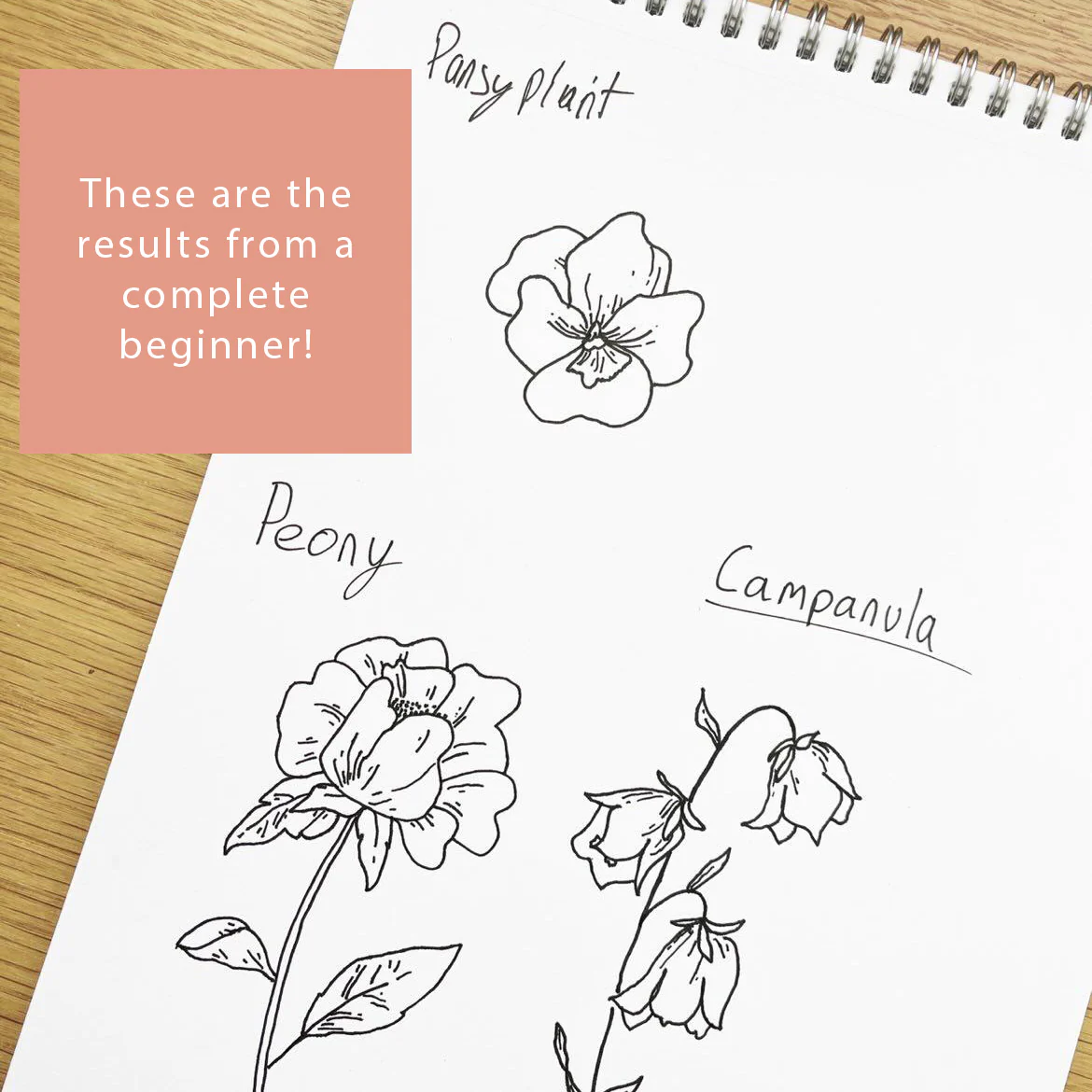 Drawing Guide: English Country Garden - Image 6