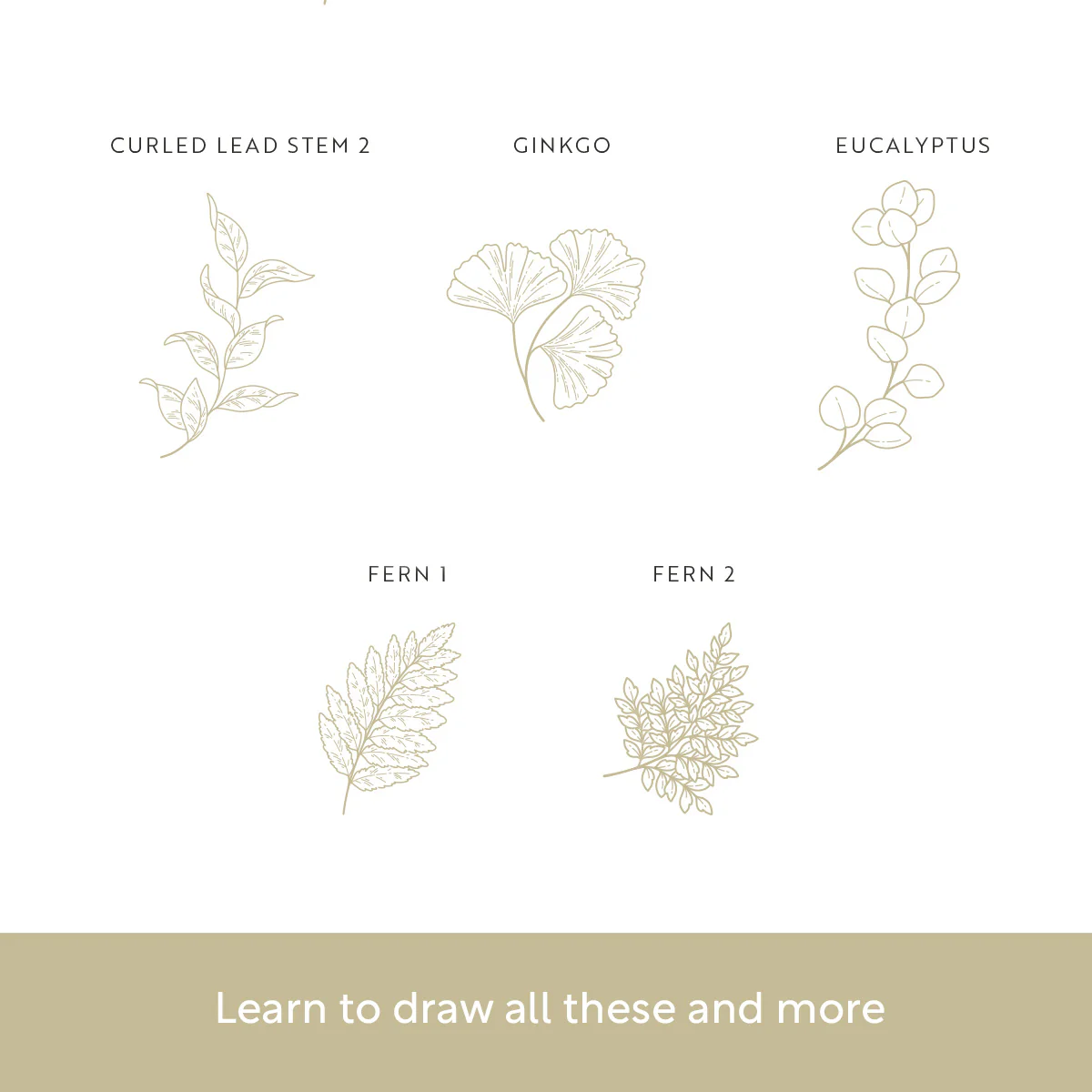 Drawing Guide: Foliage & Greenery - Image 4