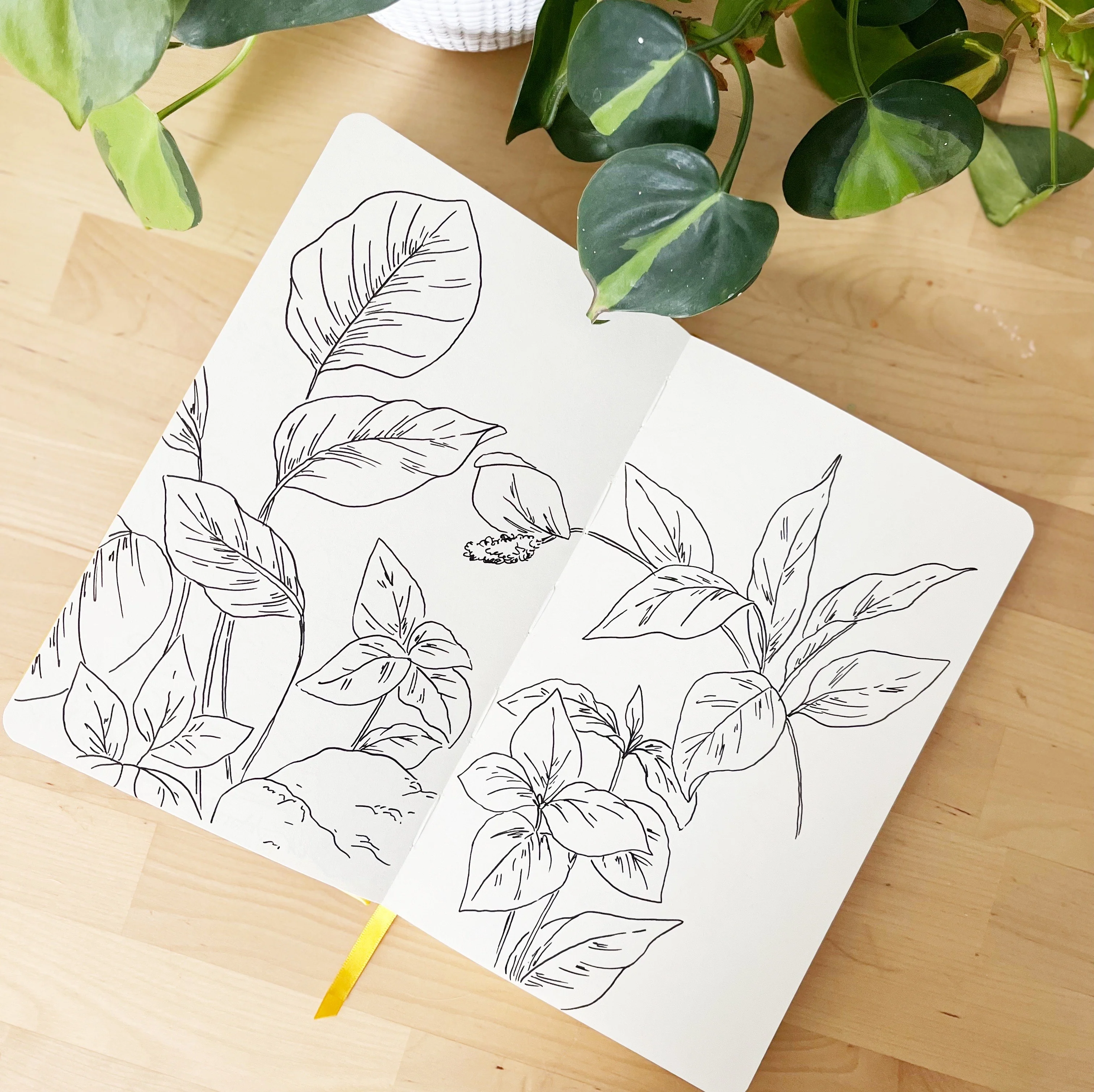 Drawing Guide: Foliage & Greenery - Image 5