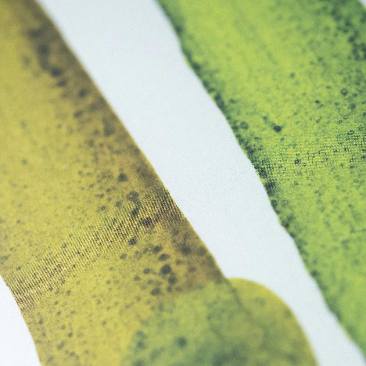 Make Ink - Jason Logan - Image 4