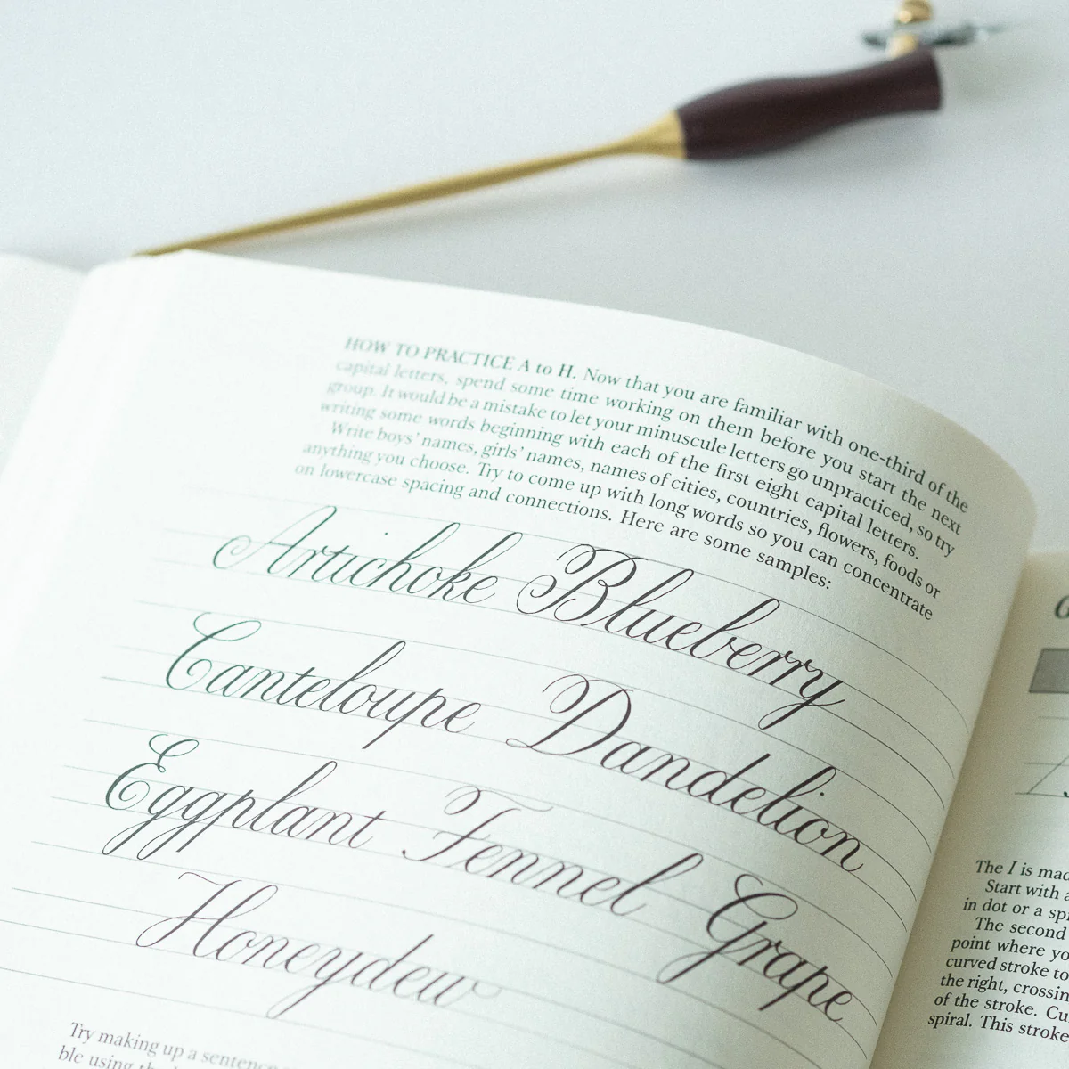 Mastering Copperplate Calligraphy - Eleanor Winters - Image 2