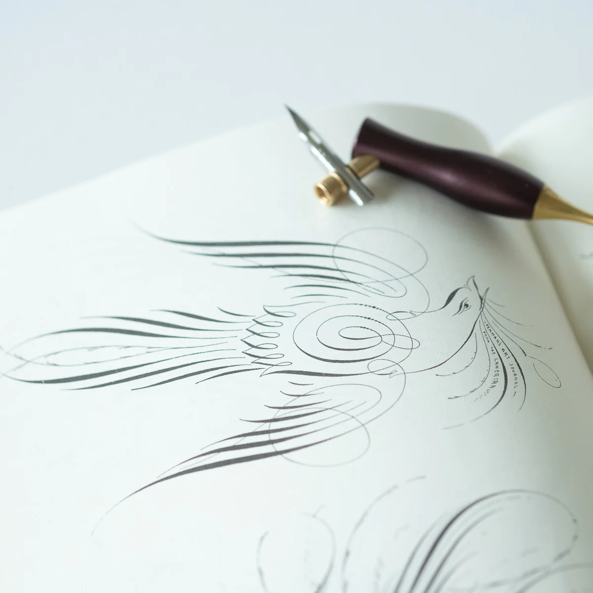 Ornate Pictorial Calligraphy - E. A. Lupfer - Image 3