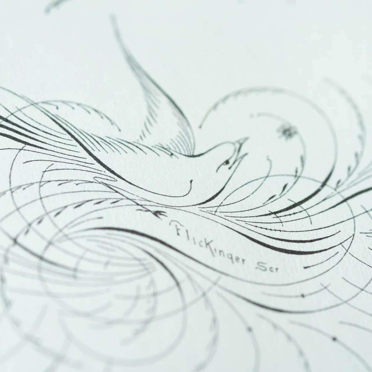 Ornate Pictorial Calligraphy - E. A. Lupfer - Image 4
