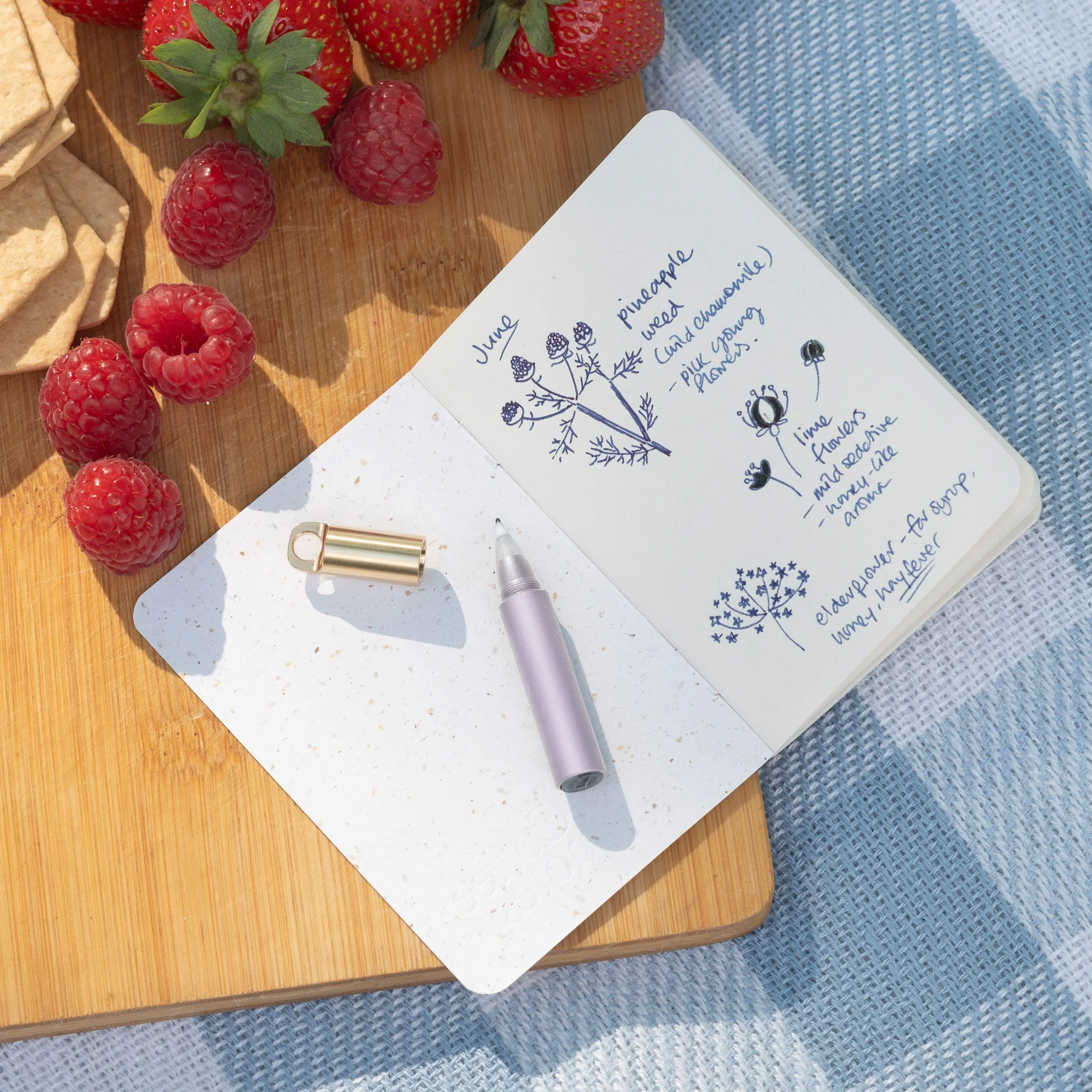 The Field Mouse – refillable travel pen - Image 25