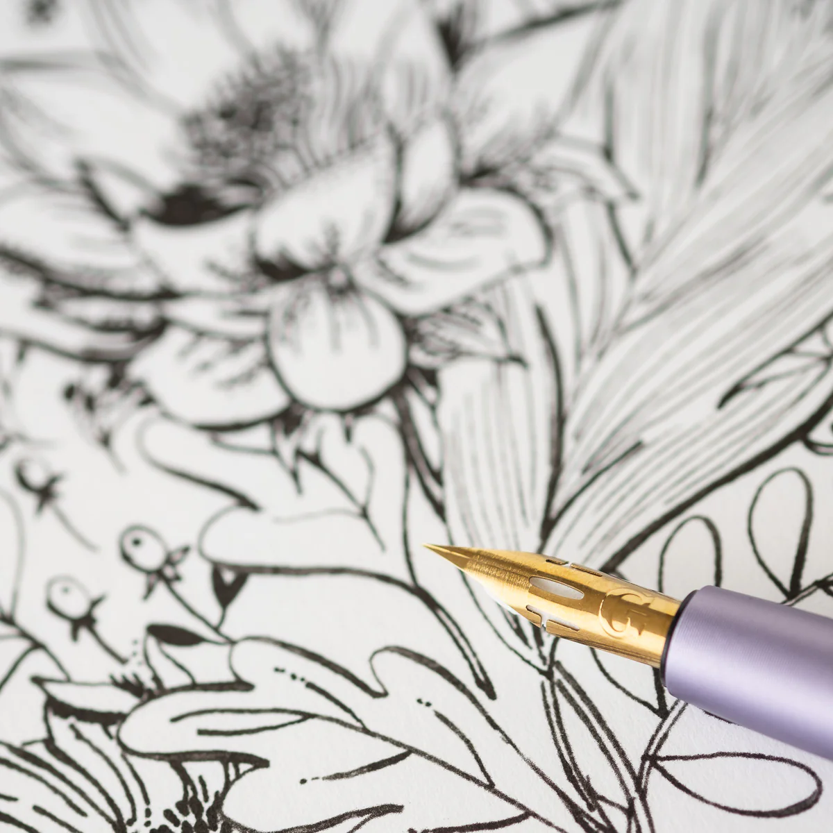 Pro-Flex Fountain Pen Nib - Image 3