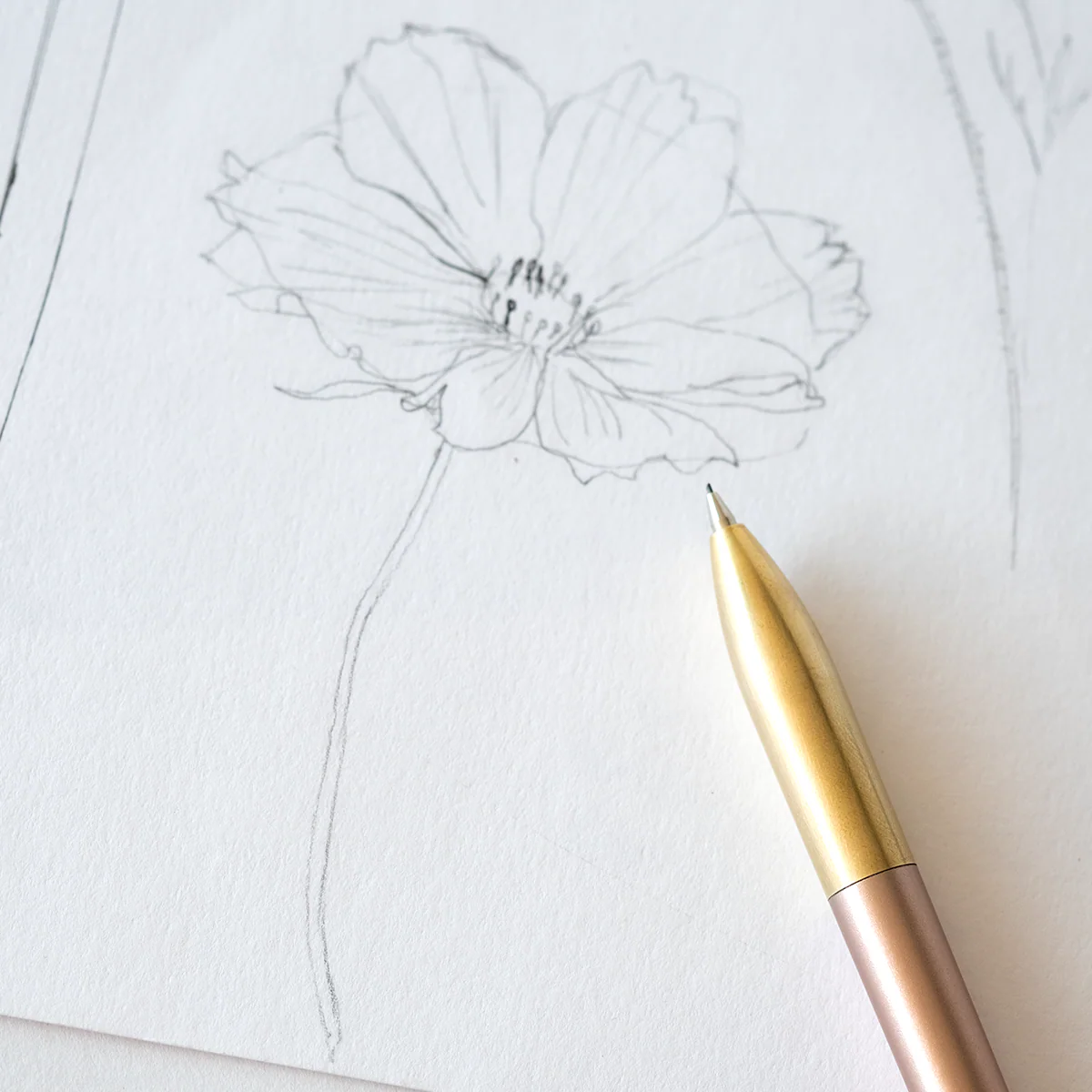 Tom's Studio - Mechanical Pencil - Image 9